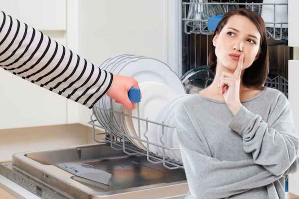 Lave-vaisselle : pourquoi placer vos assiettes à l'envers ?