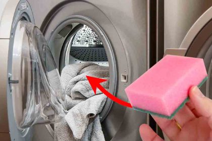 Machine à laver : pourquoi une simple éponge peut tout changer ? Tout sur ce secret de ménage infaillible