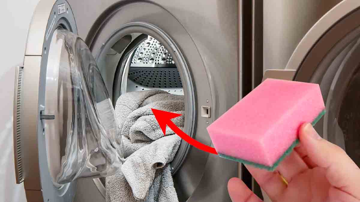 Machine à laver : pourquoi une simple éponge peut tout changer ? Tout sur ce secret de ménage infaillible