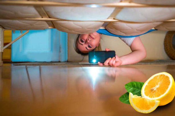 Placer un citron sous le lit : quel effet cela produit-il ?