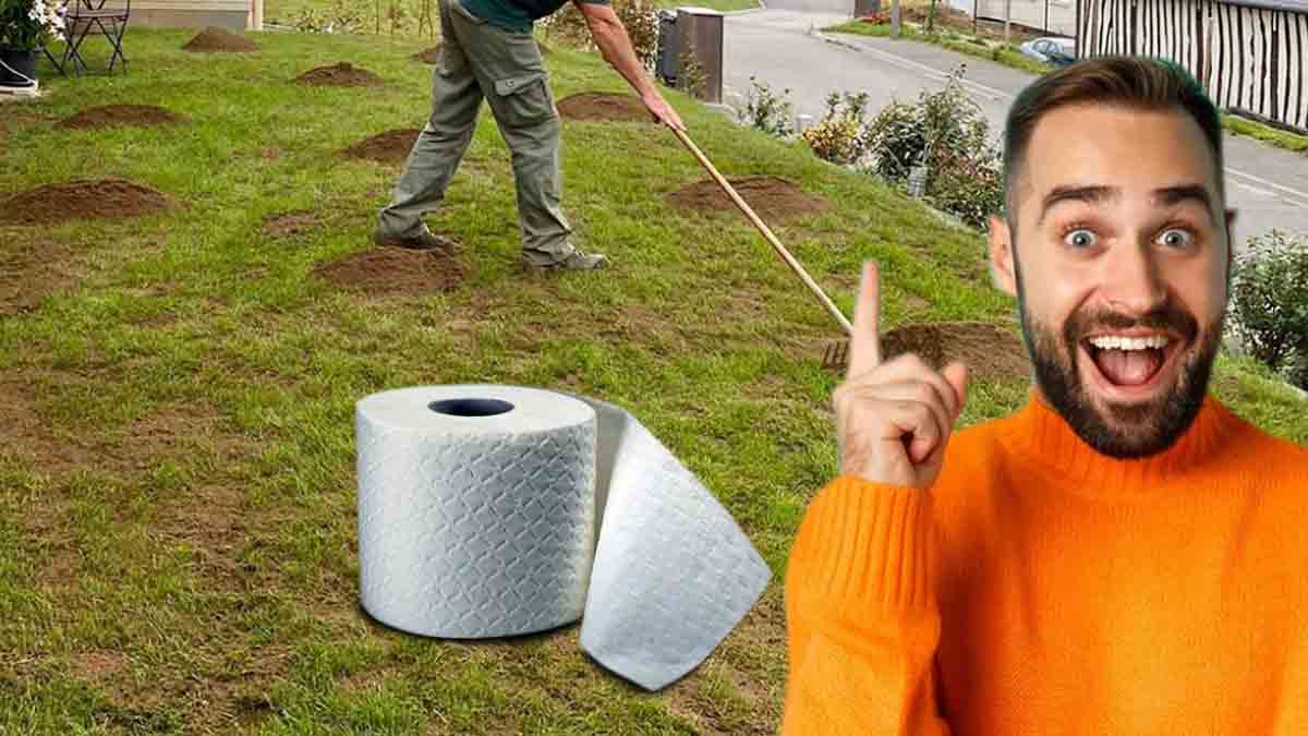Le truc imparable pour une pelouse de rêve : du papier toilette