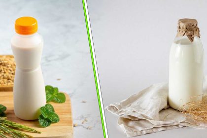 Quel lait végétal privilégier ? Et pourquoi ?