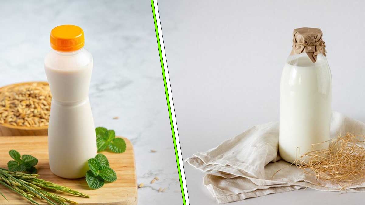 Quel lait végétal privilégier ? Et pourquoi ?