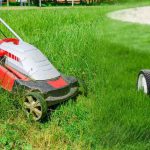 Jardinage : découvrez comment vous pouvez réutiliser efficacement vos tontes de pelouse