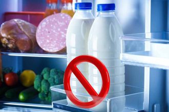 Le compartiment idéal pour conserver votre lait dans le réfrigérateur : ce nest pas la porte
